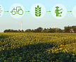«Цифровой век» сельского хозяйства 